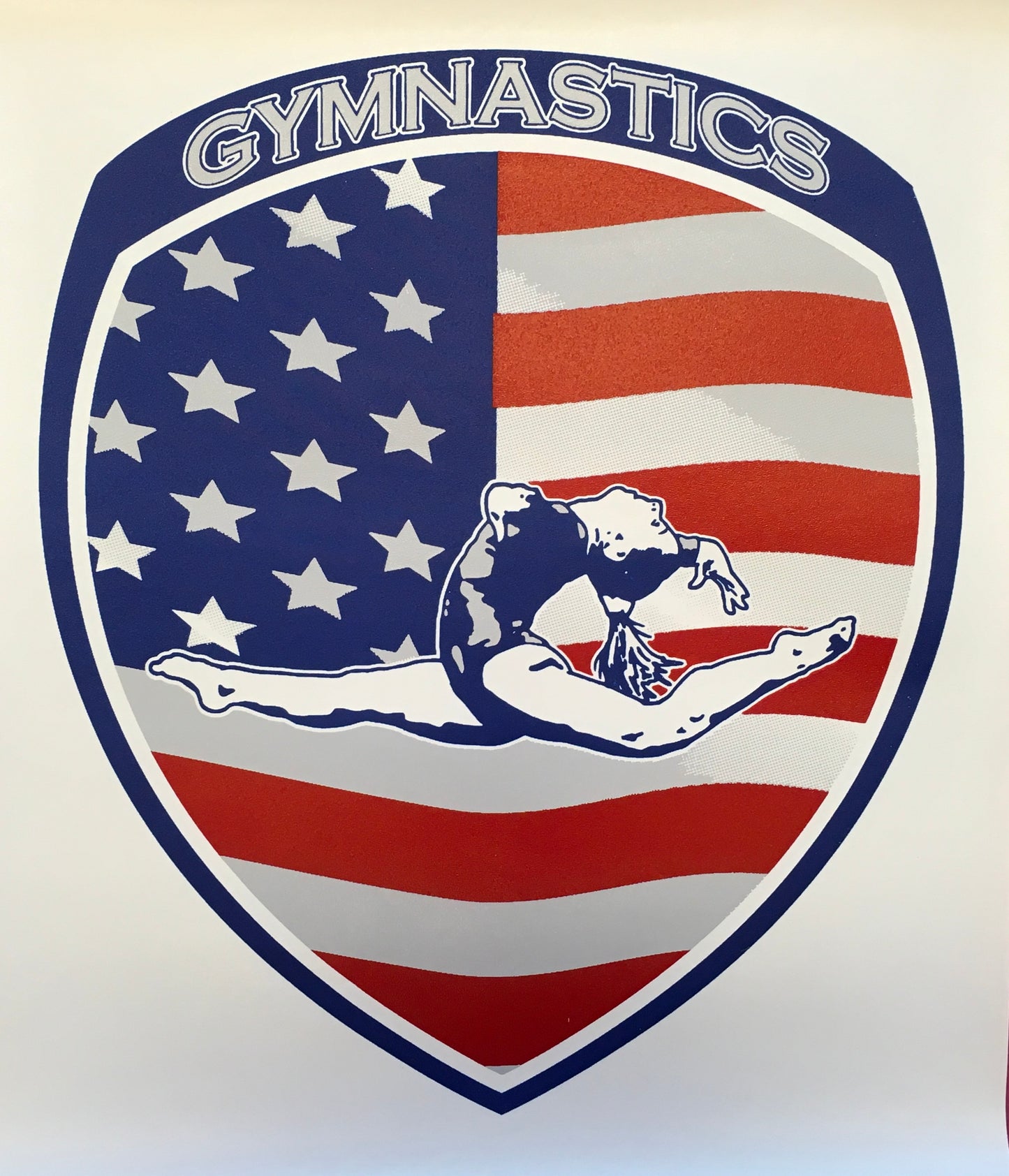 Gymnastics Transfers